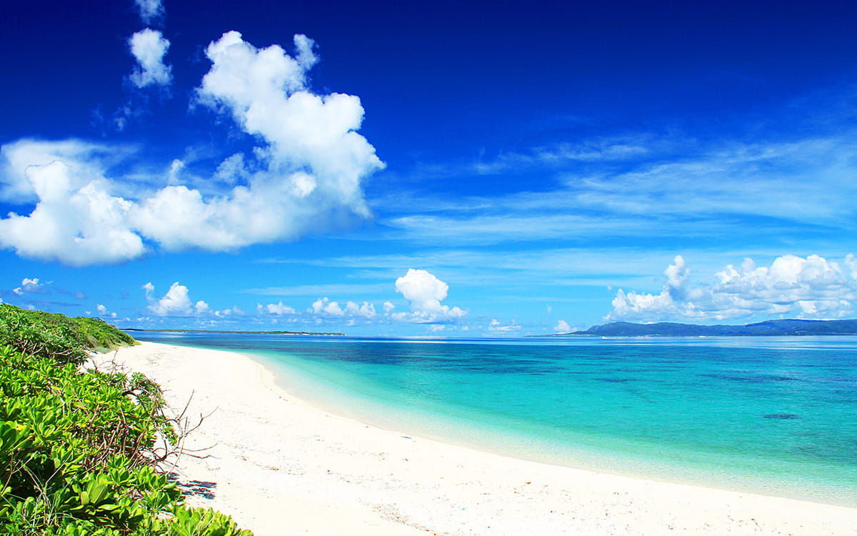 沖縄宜野湾市の総合建設業 日新開発