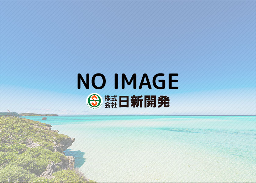 公式ホームページを公開しました - No Image
